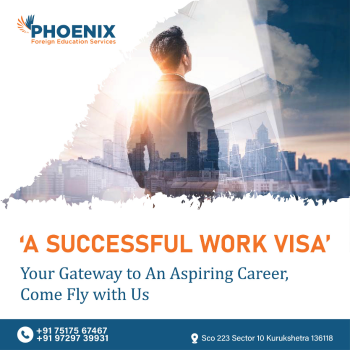 Phoenix Foreign Education Service Graphics Design