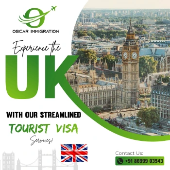 Oscar Immigration Graphics Design