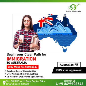 Oscar Immigration Graphics Design