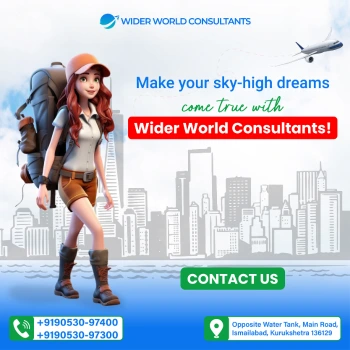 Wider World Consultants Graphics Design