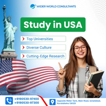 Wider World Consultants Graphics Design